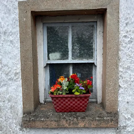 The Door 3*