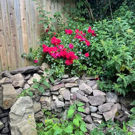 فندق مبيت وإفطار The Door توماستاون